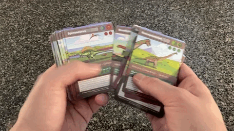 Dino Survival Card Game