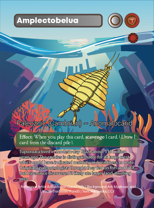 The Cambrian Explosion